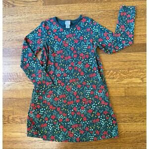 Hanna Andersson Girls' Holiday Dress Size 10
